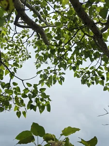 yung_cplzPublic图片 5