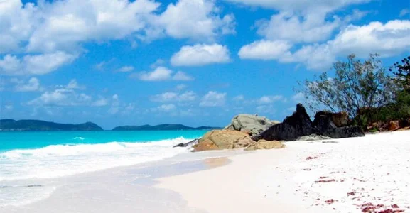 stefanyharper16 Stephanie's Dreams Hình 2