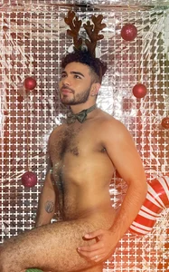 adamhairyのa sexy christmas reindeerの 4枚の写真