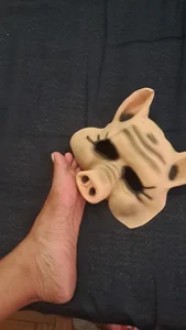 Zdjęcia BarbaraSexyRiodeJaneiro PigPay aos meus pés: 