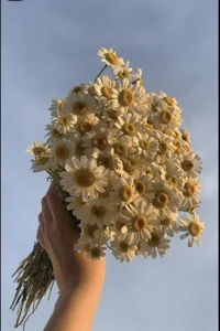 Chichi_86 Public Hình 5