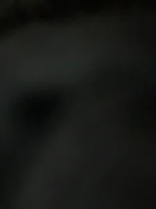 SloppyLynn Spicy Assfucking