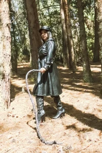 Evangeline Forest Immagine  5