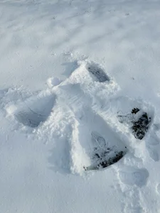 Jeick-Dawson NEW YORK & USA II Pic 9