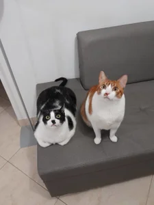 Tinna_SarahのSara & Tinnaの 2枚の写真