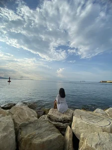 Zdjęcia Rose_Allure Rose in the sea:  3