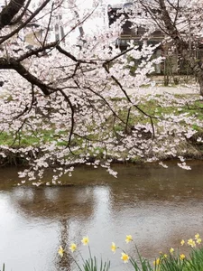 HinaLovely My life 사진 6