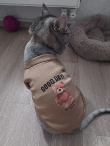 MelissaMays 😸😸😸 Immagine  2