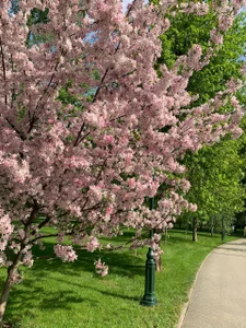 mila_firee Beautiful views 🌸 Poză 2