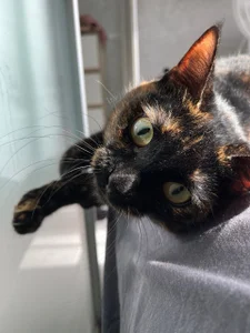 rara_ruru Eve Immagine  7