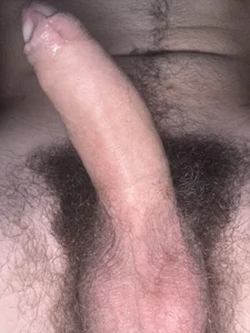 rexrocket33 Public Fotka 6