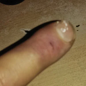 Public de dazuk4513  7 Imagens