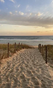 kathrynwilson1 My vibes Pic 2