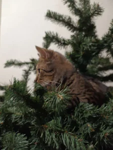 gloria_bubbleのHappy moments 😋の 3枚の写真