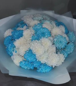 evaharve My Dear Roland, thank you for another gift that pleases my soul and heart.❤️ Foto