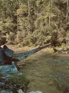 rosiebuddy Public รูป  4