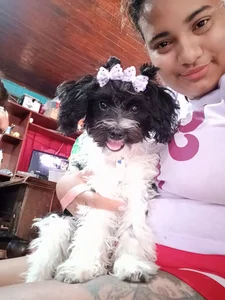 HilarybunnyyのA normal day in my lifeの 6枚の写真