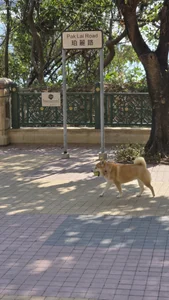 Kagawa781 Public Foto 5