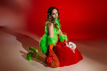 AnitaVenture Grinch Immagine 