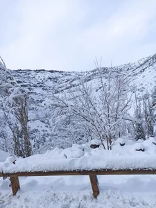 La-Gitana92 Public Εικόνα 3