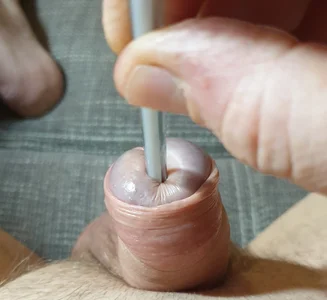 pullerwichsi Pullerchen Hình 5