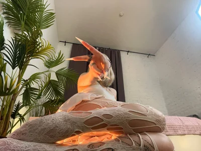 ShineJoan Public Immagine  4