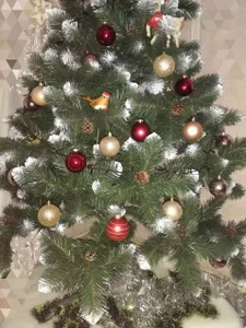 Sly_Oksi Happy New Year Pic 4