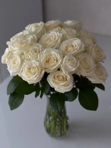 CarinaCurly my treasures and dear memories 💋 صورة واحدة|CarinaCurly my treasures and dear memories 💋 صورتان|CarinaCurly my treasures and dear memories 💋  8 صور|CarinaCurly my treasures and dear memories 💋  8 صورة