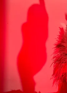 Valen_with_pussy Shadow poses টি ছবি