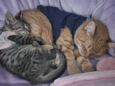 Miaa_gh1 😍😍 Pic 6