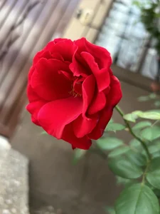 Madeli0217 what I like🥳 Bilde