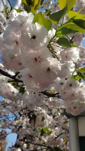 MAO_channelPublic图片 4