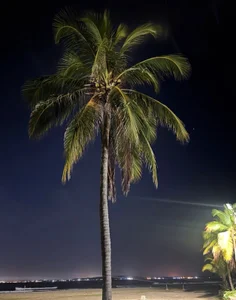 newjeff NIGTH WITH JEFF 🖤🌙 사진 2