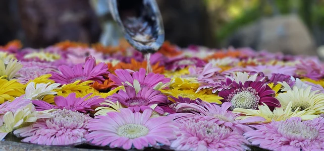 YUA_HENTAI_JP Public Pic 4