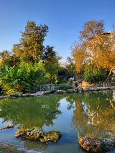 MelisaMila Public Pic 4