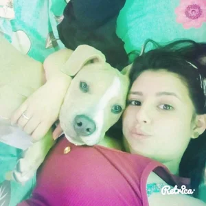 mias de angelasm  4 Imagens