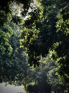 SirKabir Public 圖片 4