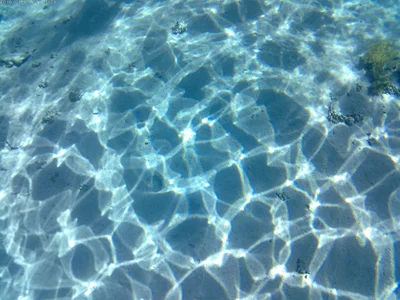 goroasroma90Public Bild 2