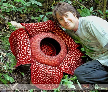 o0-69o Public Εικόνα 6