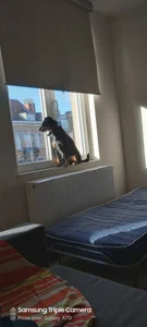 oliver2384 Public Poză