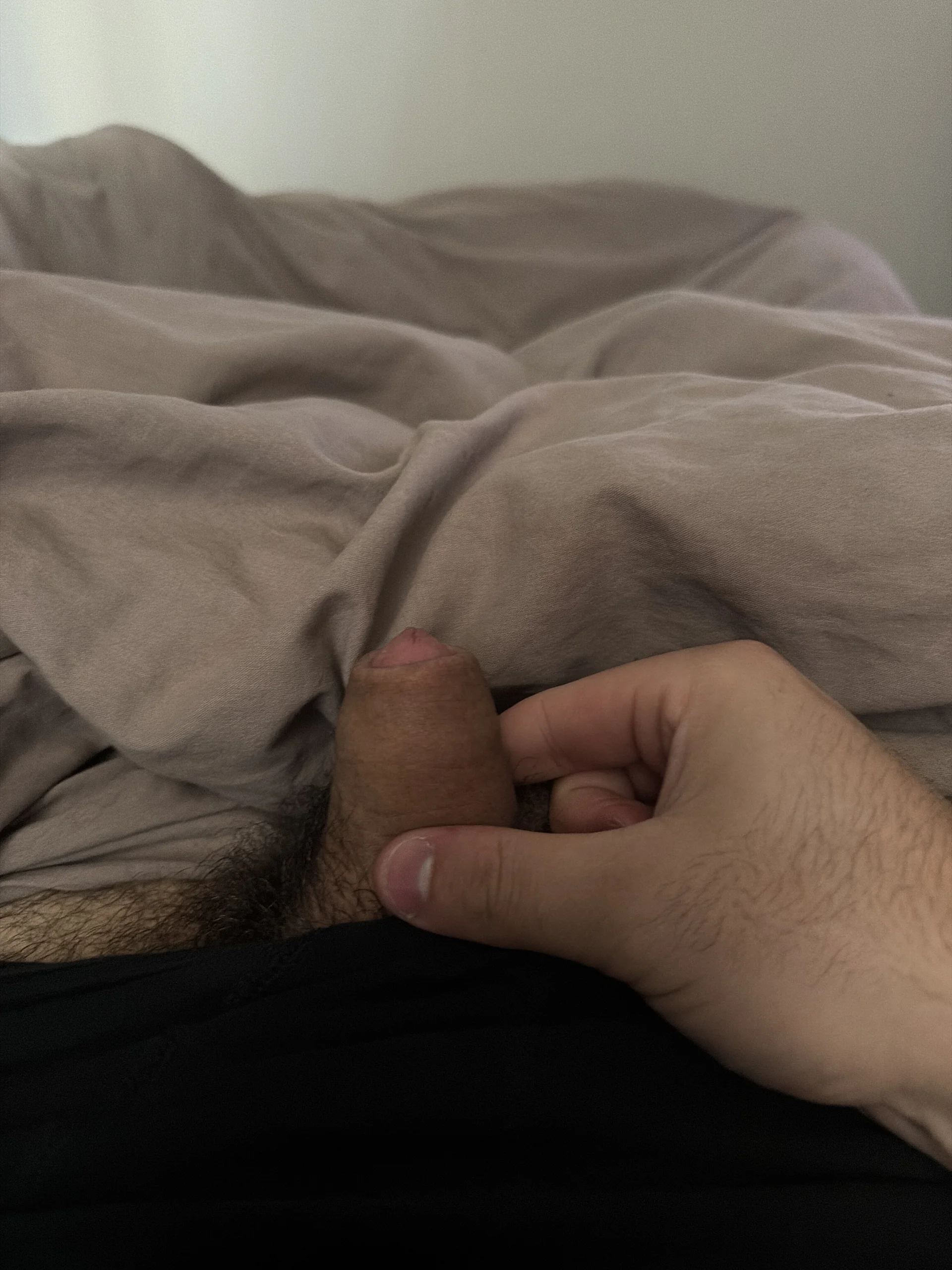 sphcuck10 Small 2 Immagine 