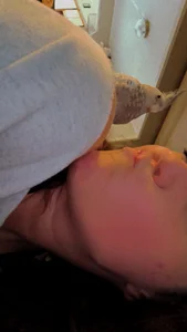 brattyvixen11 Get to know me Pic 3