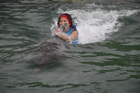 CUTE 🐬 de letty_straus  5 Imagens