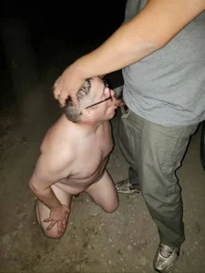 sphspunsub Public Immagine  2