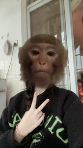 ？ de Xdouyaa  4 Imagens