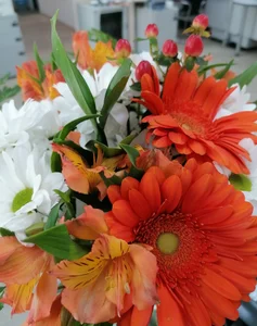 Aurora_Velvett_ Have I already shown off my gifts? Let's go take a look! 😏 slika
