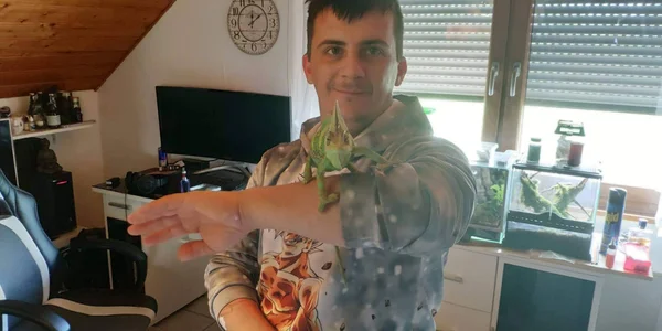 Lupikutyi Ujak Gambar 5