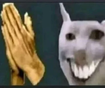 kaori_77 kullanıcısının Ñomii albümü -  fotoğraf