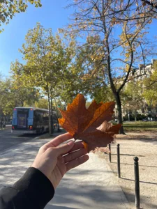 back_thomson CITY PARIS🌍 Immagine  3