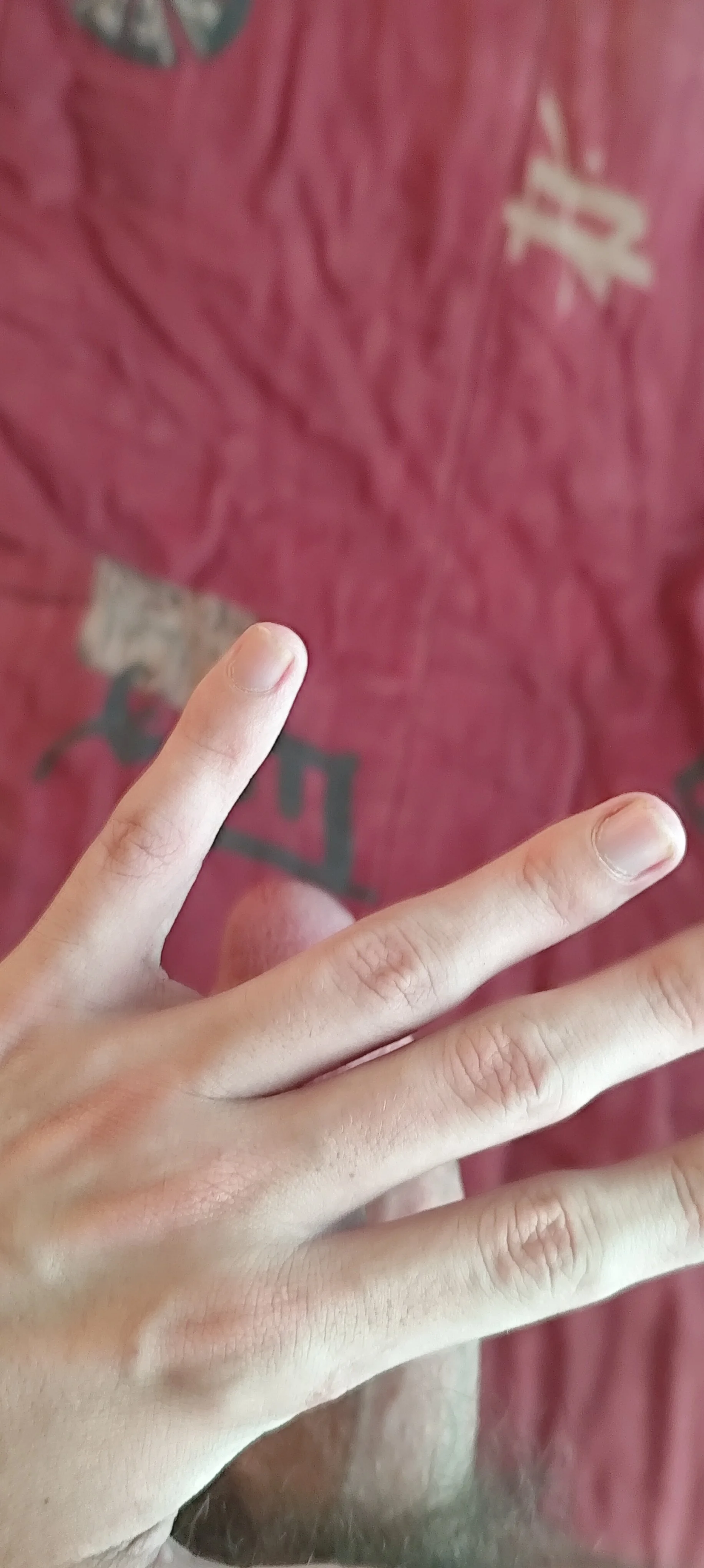 Favesimper Dick Hình 2